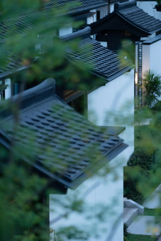 初夏時(shí)節(jié)1311.png